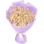 Букет из 9 белых гипсофил