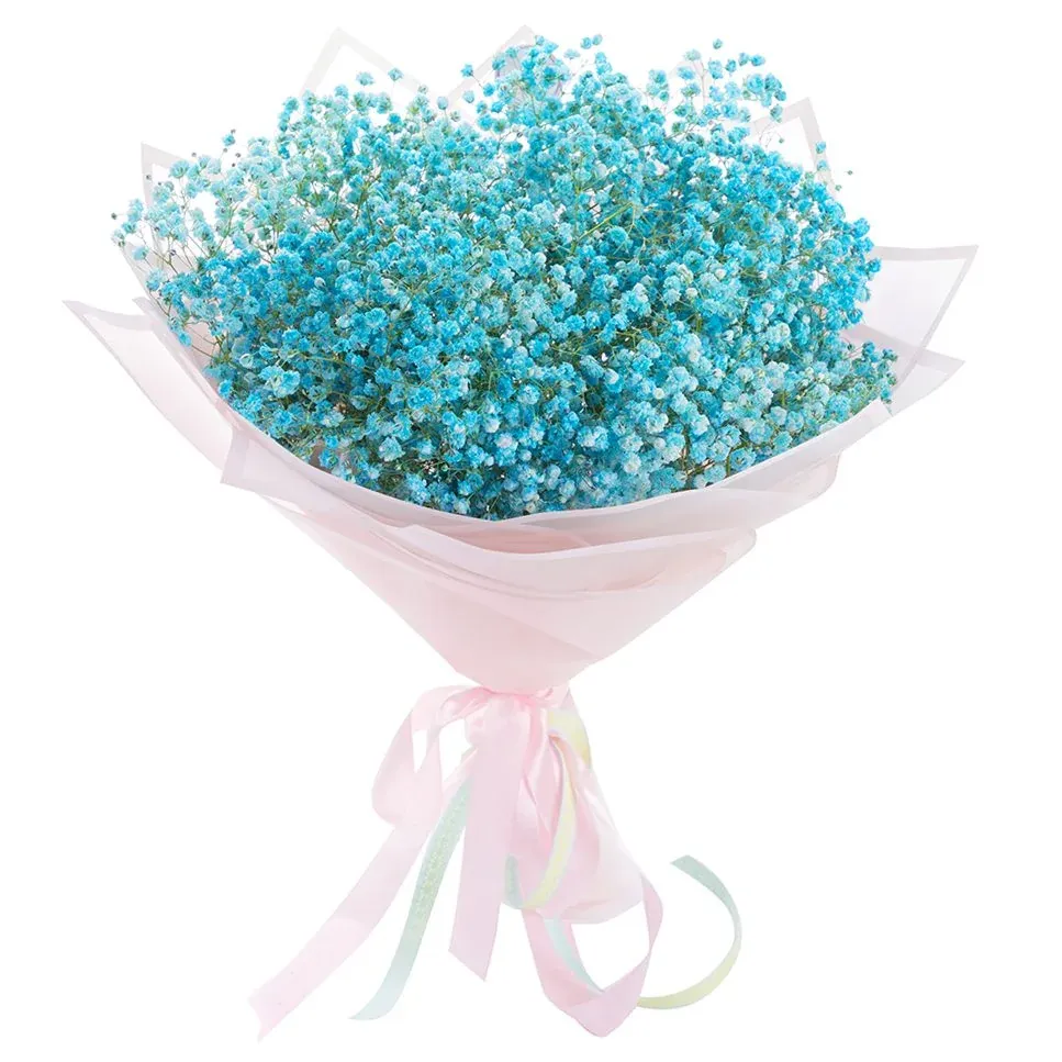 Гипсофилы голубые