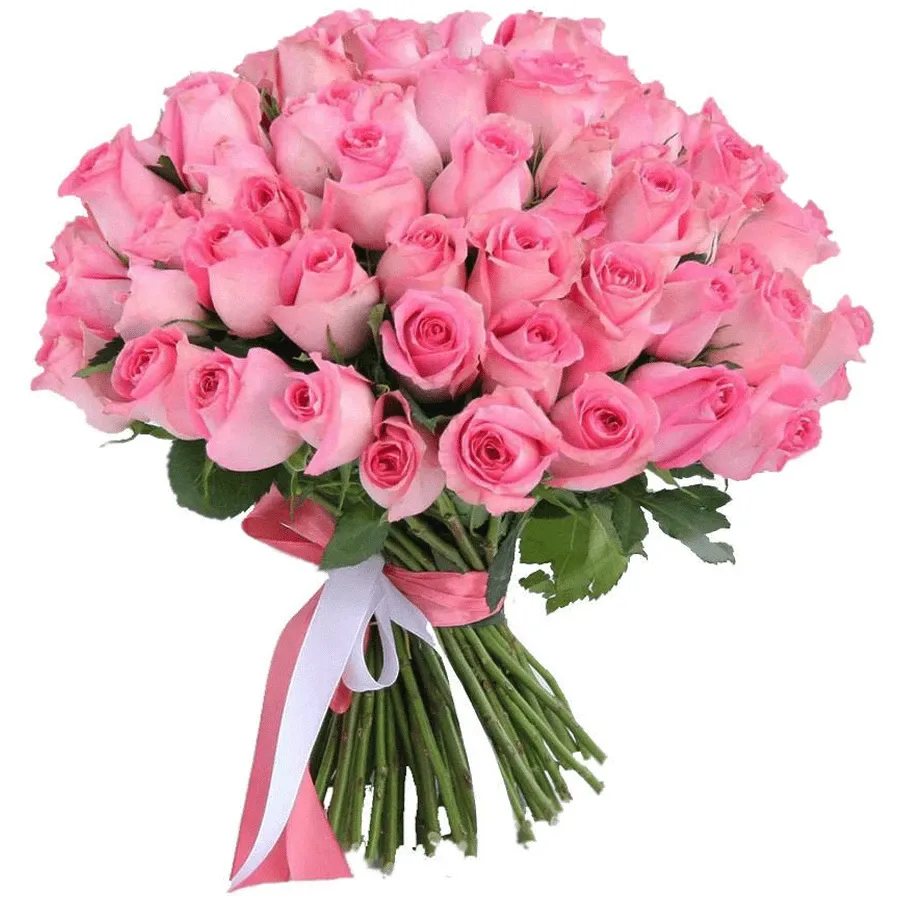 Розы Кения розовые